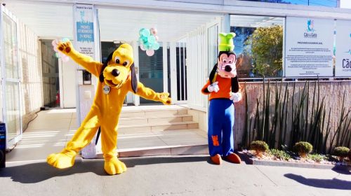 Evento animação pet dog frente comercio inauguracao 588863