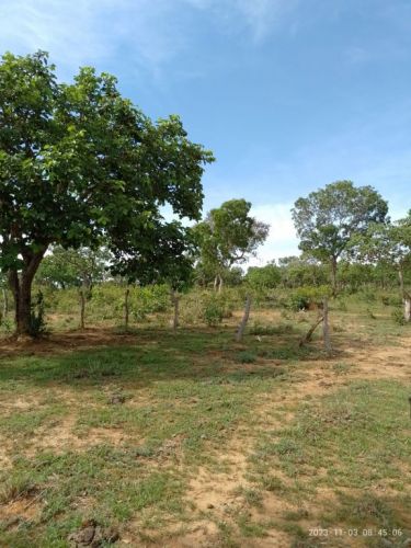 Excelentes Lotes 1.000m² em Corinto Mg no  financiamento próprio 746807