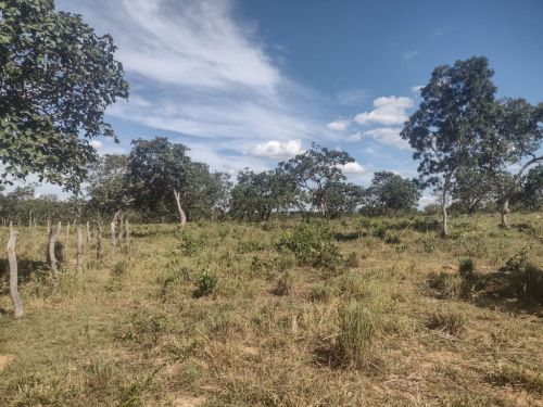Excelentes Lotes 1.000m² em Corinto Mg no  financiamento próprio 746809