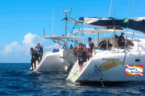 Expedição ao Arquipélago de Abrolhos 773867