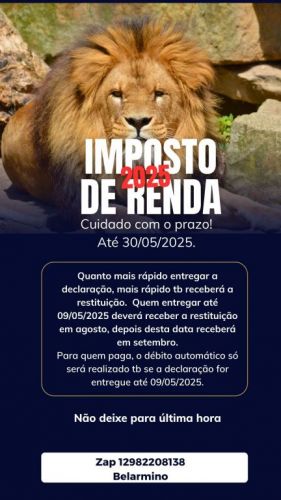 Faço Declaração de Imposto de Renda tudo online 747868