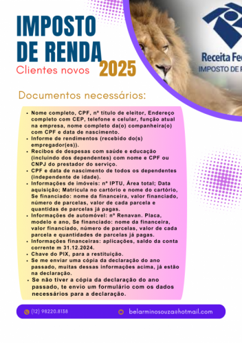 Faço Declaração de Imposto de Renda tudo online 747870