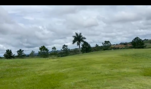 Fantastica Area de 50 Alqueires  741238