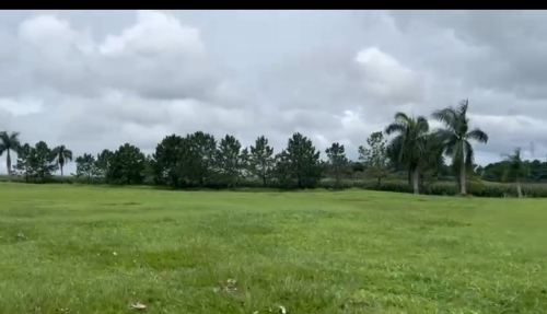Fantastica Area de 50 Alqueires  741240