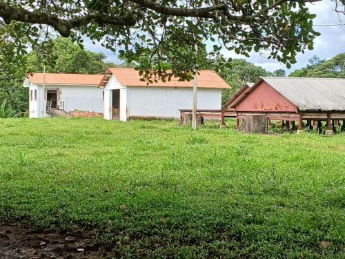 fazenda produtora de cacau bahia 751353