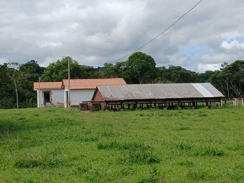 fazenda produtora de cacau bahia 751354