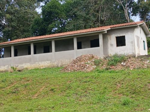 fazenda produtora de cacau bahia 751355