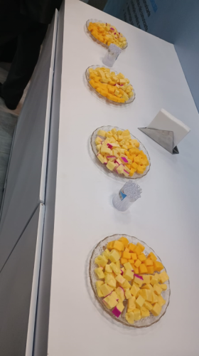 Feira de Negócios Buffet 763714 Feira de Negócios Buffet 763714