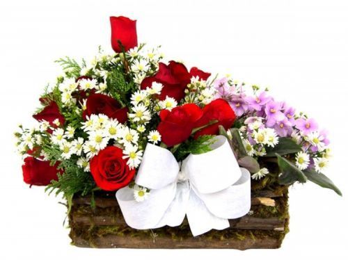 Floricultura Flora Bairro Nova Suíça Oeste Nova Gameleira Palmeiras Prado Salgado Filho entrega flores Buquê de rosas orquídeas cesta de café e arranjos florais 772873