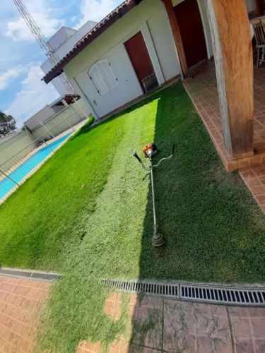 Folha Verde Jardinagem e paisagismo 759792
