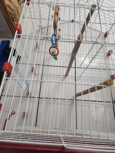 Gaiola para calopsitas ou periquitos desmontável 771602