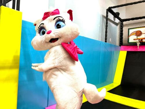 Gata Marie personagem vivo cover Festa 739345