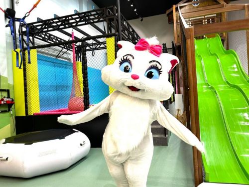 Gata Marie personagem vivo cover Festa 739346
