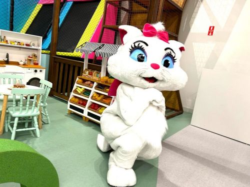 Gata Marie personagem vivo cover Festa 739348