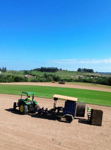 Grama Esmeralda de Excelente qualidade direto do produtor rural 770122