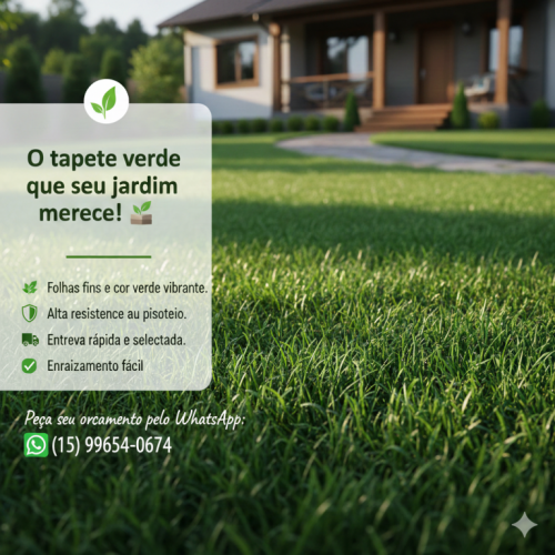 Grama Esmeralda de Excelente qualidade direto do produtor rural 770123