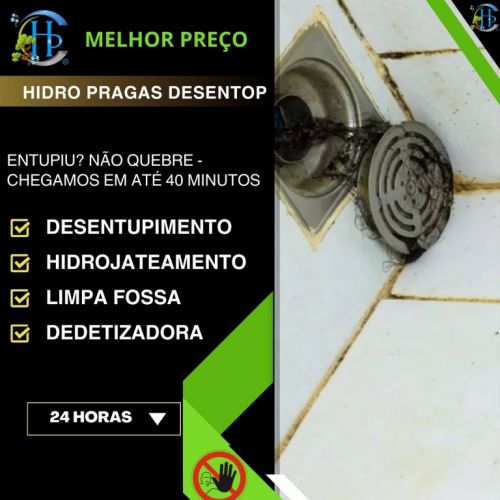 Hidro Pragas Dedetizadora e Desentupidora 747978