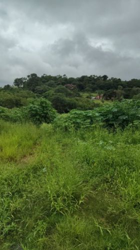 Imagine morar ou investir a poucos minutos da famosa  775765