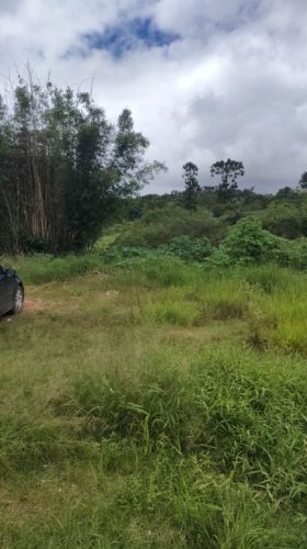 Imagine morar ou investir a poucos minutos da famosa  775766