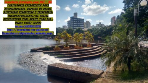 Imposto de Renda 2025 Brasil - Região Oeste 736825