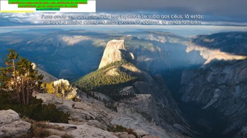 imposto De Renda 2026 Cambé  772133