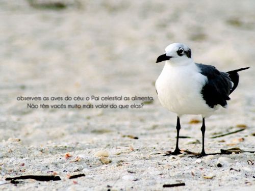 Imposto de Renda 2026: Declaração para Estrangeiros na Italia 776396