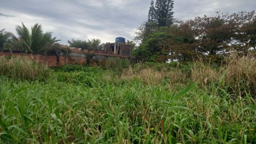 It055 Lotes Terreno - Frente ao Mar - Itanhaém 746708