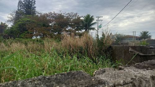 It055 Lotes Terreno - Frente ao Mar - Itanhaém 746709