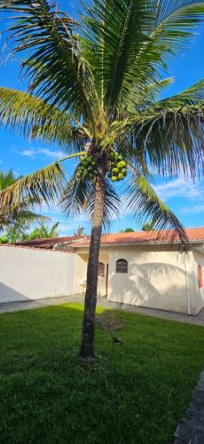 It319 Casa - Guacyra - Itanhaém 773318