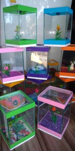 Kit festa com peixe betta e aquário para lembrancinhas  760277