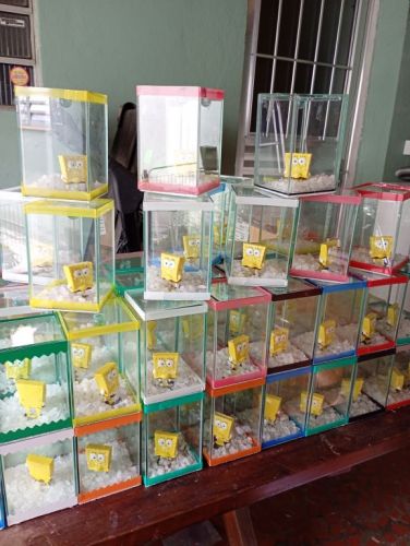 Kit festa com peixe betta e aquário para lembrancinhas  767314