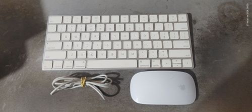 Kit Teclado Magic Keyboard e Mouse Magic Mouse Apple bom estado 784629 Kit Teclado Magic Keyboard e Mouse Magic Mouse Apple bom estado 784629