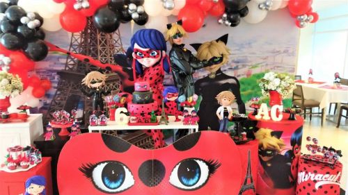 Ladybug e Catnoir personagens vivos cover Festa 738672