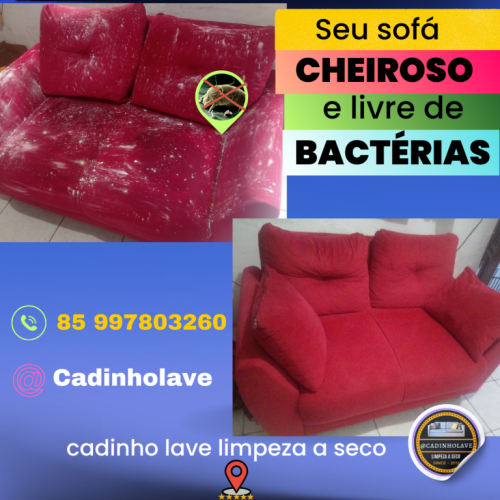 Limpeza a seco  de sofá 744404