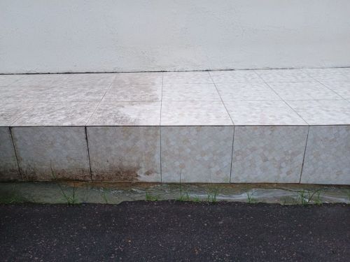 Limpeza de Pisos  720655