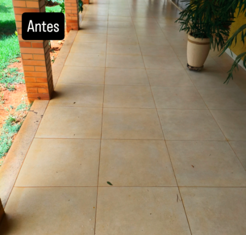 Limpeza Expert - Higienização Profissional 771331