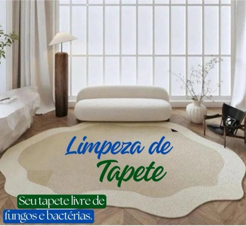 Limpeza higienização de sofá e tapetes 757640