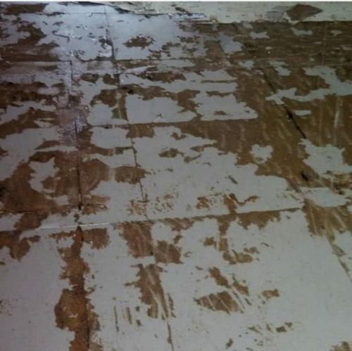 Limpeza profissional de pedras pisos pós obra e impermeabilização  702855