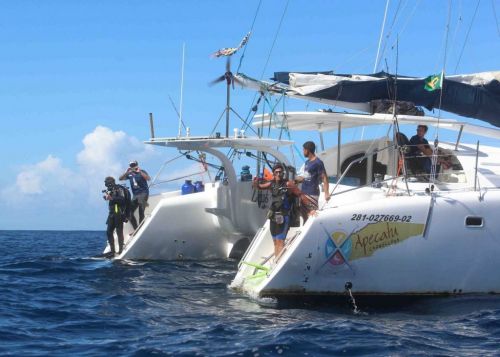 Liveaboard com mergulho em Abrolhos Ba. 773211