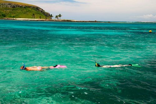 Liveaboard com mergulho em Abrolhos Ba. 773212