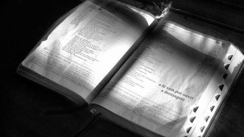 Declarar receita Bruta anual do Mei Declaração anual do Mei  739623