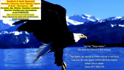 Londrina Consultoria Microempresa Contador e Imposto de renda 778677