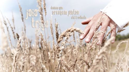 Londrina Marido de Aluguel -jardinagemconsertosreparos 764637