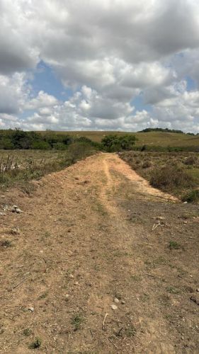 Lotes 10 x 20 em Ribeirão Pernambuco  767835