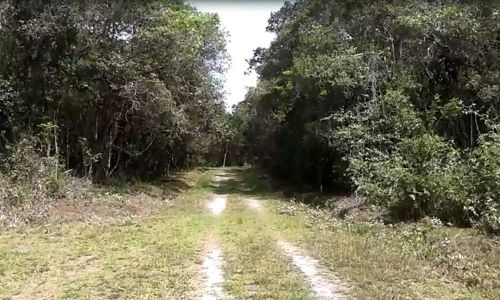 Lotes De Terrenos 2 De 2.800 M2. Cada e 1 De 3.307 M2. Vendendo Por Unidade Ou Pelo Conjunto 747369