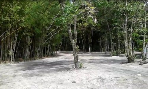 Lotes De Terrenos 2 De 2.800 M2. Cada e 1 De 3.307 M2. Vendendo Por Unidade Ou Pelo Conjunto 747372
