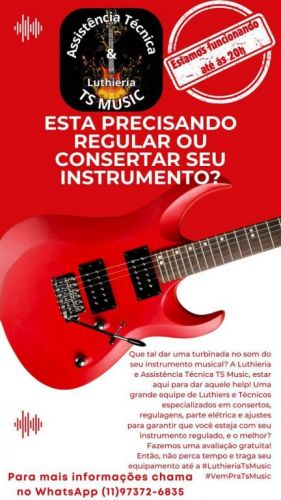 Luthier 743651