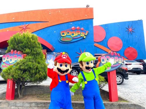 Mario Bros e Luigi personagens vivos cover festa 738943