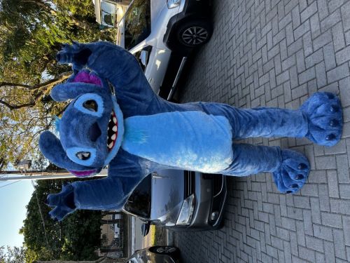 Mascotes vivos para festas e eventos  761402