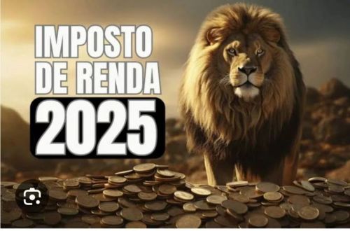  Retificação na Declaração Anual da Mei 2025  Declaração Imposto de renda 2025 741310